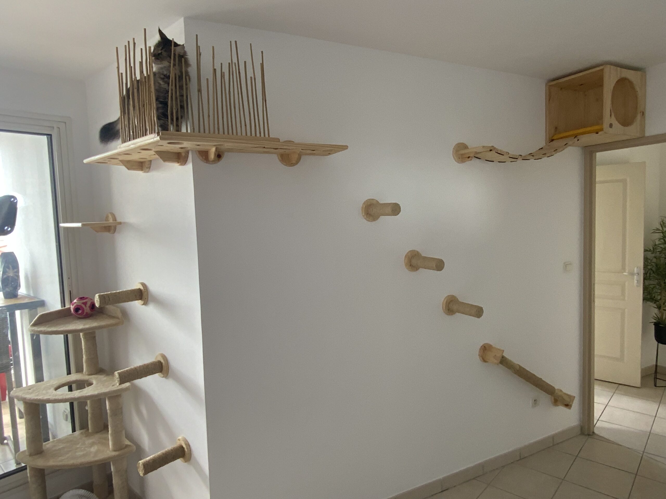 Aménagement mural pour chat avec passerelles